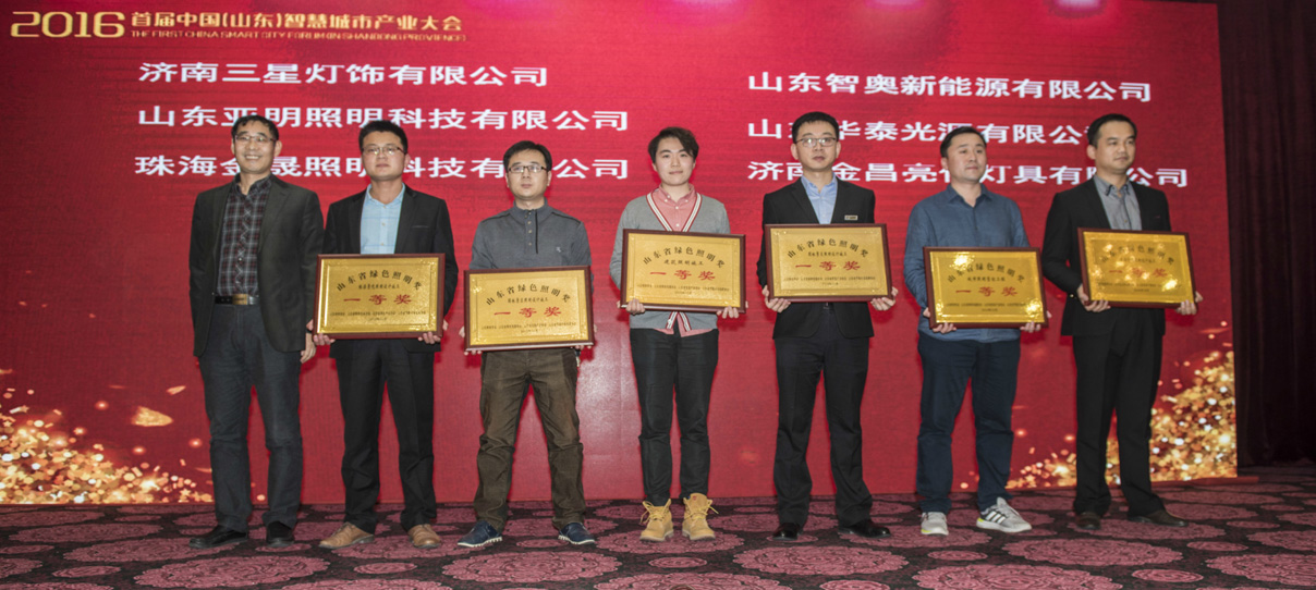 我公司创意的灯光雕塑作品荣获首届山东省绿色照明奖(图2) 我公司创意的灯光雕塑作品荣获首届山东省绿色照明奖(图2)